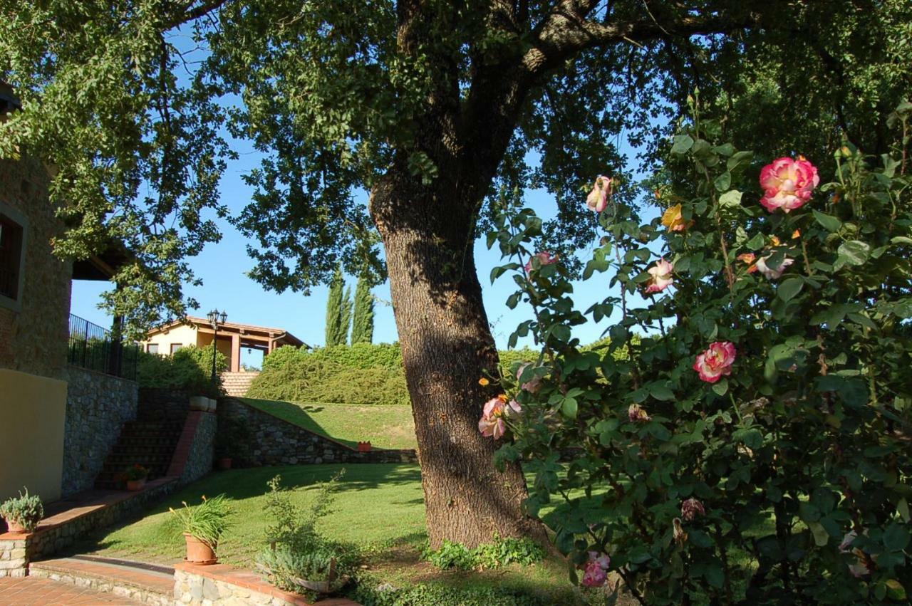 Agriturismo Il Palazzo Pergine Valdarno Buitenkant foto